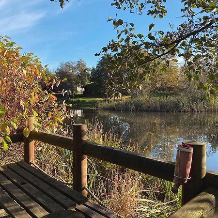 Angie'S Haven, Superb 2 Bedroom Lodge With Hot Tub - Sleeps 6 - Felmoor Park 몰페스 외부 사진